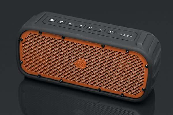 TIMO LABORATORIES INC. CORBETT I S